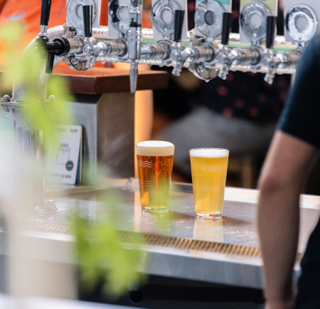 Glasses of delicious beer sitting on the counter