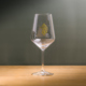 Dog Years Limited Release - Rastal Harmony 53 Glass