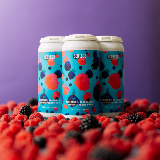 SALE // Seasonal Smash - Blueberry, Blackberry & Raspberry Sour - Limited Release