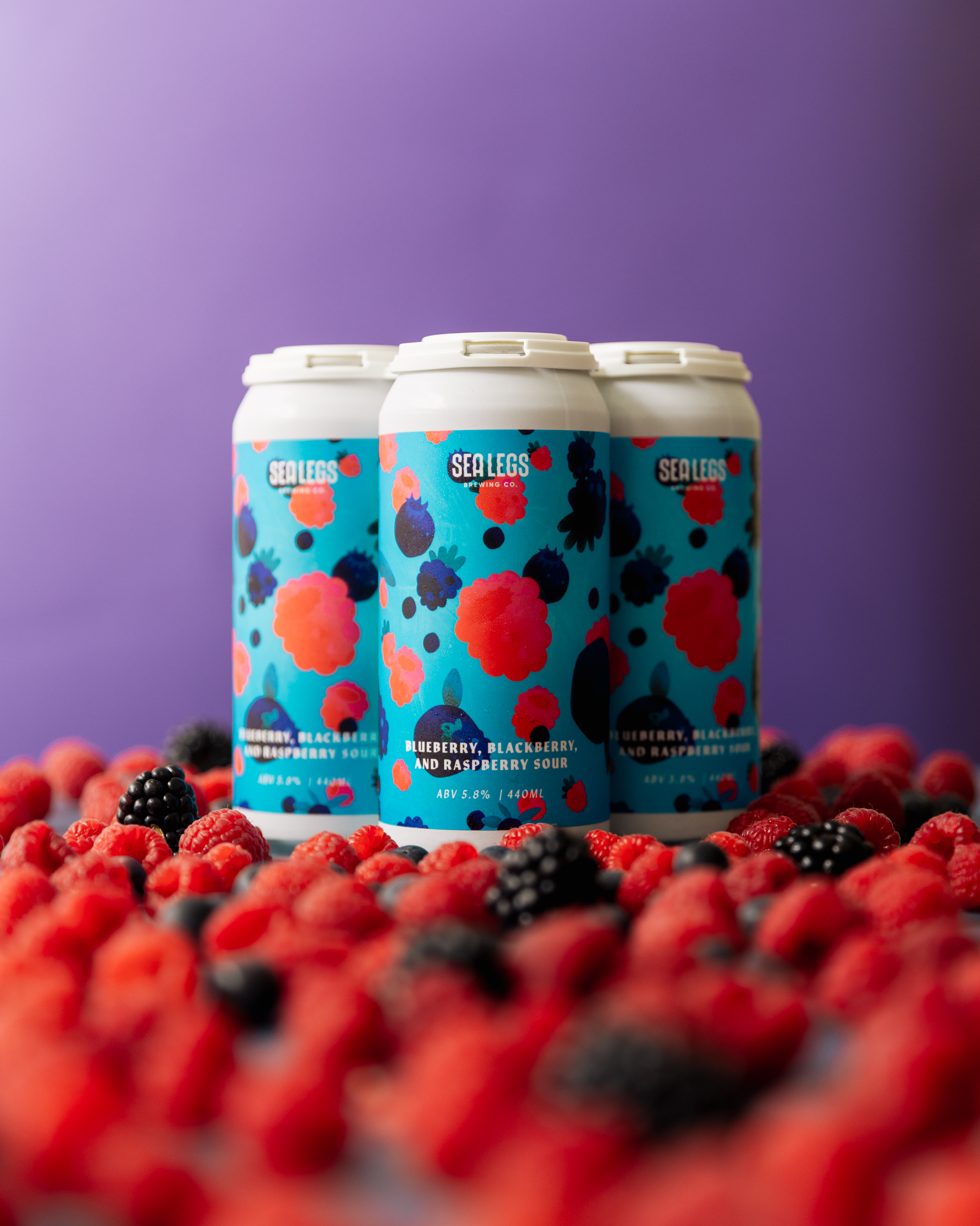 SALE // Seasonal Smash - Blueberry, Blackberry & Raspberry Sour - Limited Release